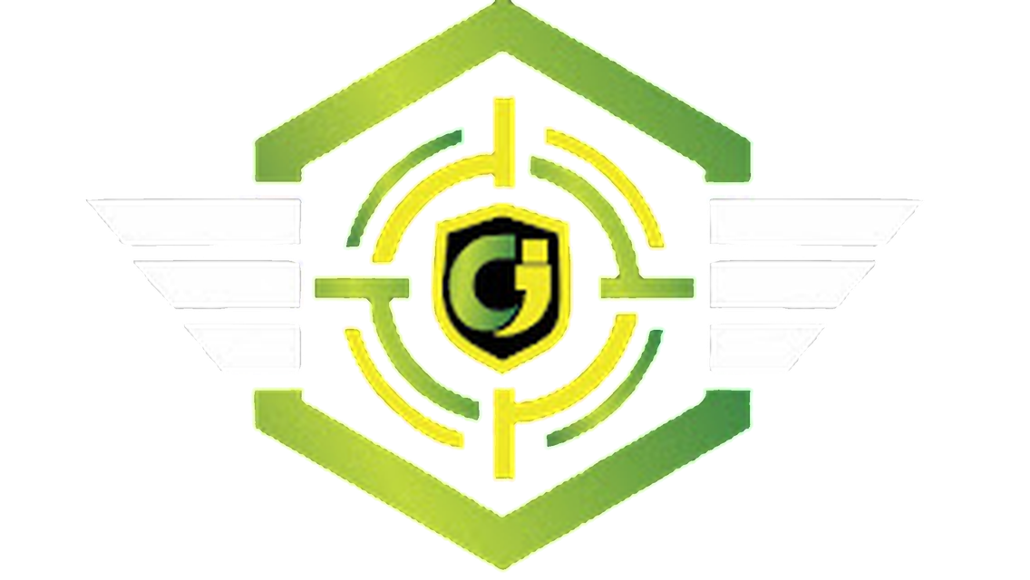 CYBRAIN INFOSEC emblem